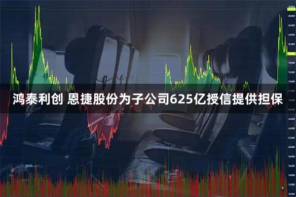 鸿泰利创 恩捷股份为子公司625亿授信提供担保